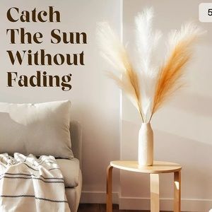 Home Pro Shop arts & crafts Pampas Grass.3Pcs.